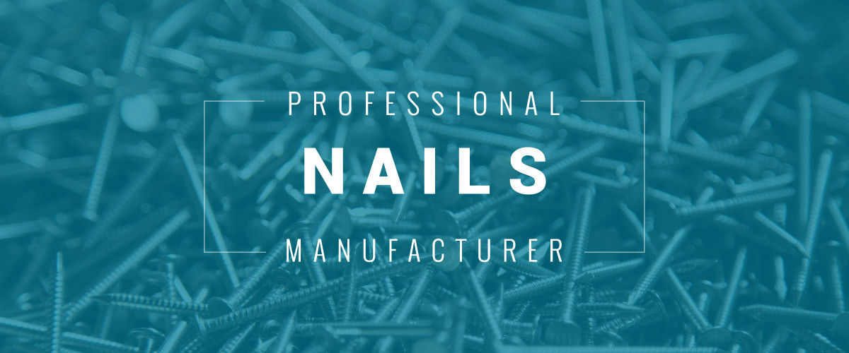 China best Stainless Steel Nails on sales