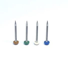 Polished SS316 Plastic Round Cap Roofing Nails With Annular Ring Shank