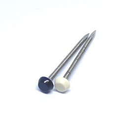 A2 Stainless Steel Shatterproof Plastic Head Nails For Fascia And Soffit