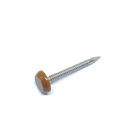 A4 Stainless Steel Plastic Head Nails