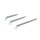 Low Profile Nylon Plastic Head Nails Of 316 Stainless Steel For Roofline