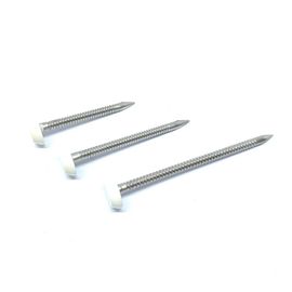 Low Profile Nylon Plastic Head Nails Of 316 Stainless Steel For Roofline