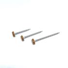 A4 Stainless Steel Plastic Head Nails , RAL8003 Brown Annular Ring Shank