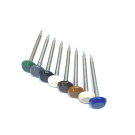 40mm SUS316 Ring Shank Plastic Cap Nails For Fixing Fascia And Soffit