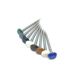 OEM 65mm Plastic Head Nails , Outside Construction And Building Nails
