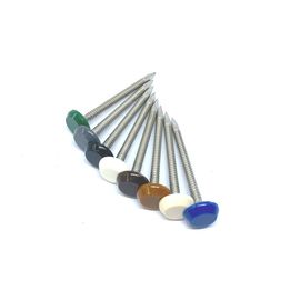 OEM 65mm Plastic Head Nails , Outside Construction And Building Nails