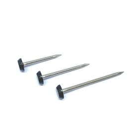 UV Stable Impact Resistant Polymer Plastic Headed Nails Made From A4 Stainless Steel