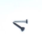 OEM 2.8 X 40MM Aluminium Roofing Nails , Flat Head Ring Shank Nails