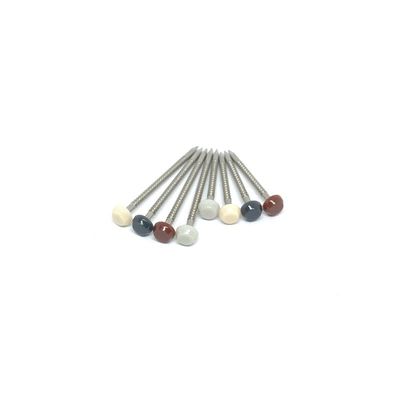 2.0MM Wire Diameter Plastic Head 316 Stainless Steel Nails