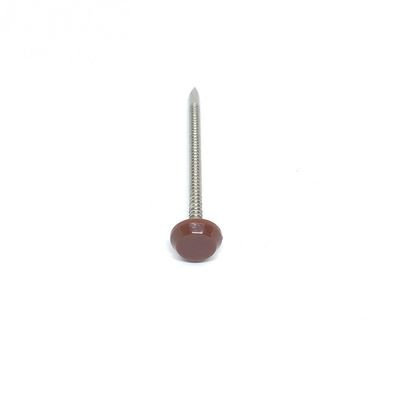 Rustproof Stainless Steel A4 Plastic Head Nails