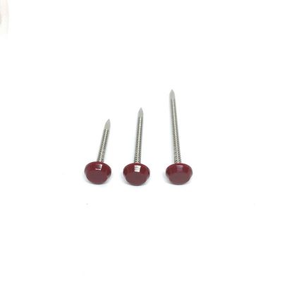 Corrosion Resistant SS304L Plastic Cap Roofing Nails