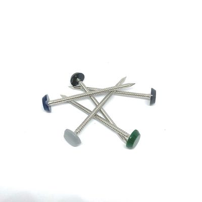 RAL7016 Anthracite Grey Nylon PA6 Plastic Head Nails For Soffit Fixing