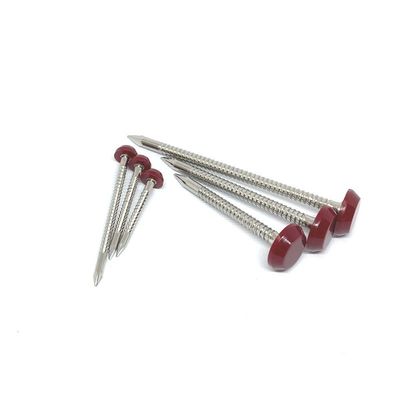 Rustproof Stainless Steel A4 Plastic Head Nails