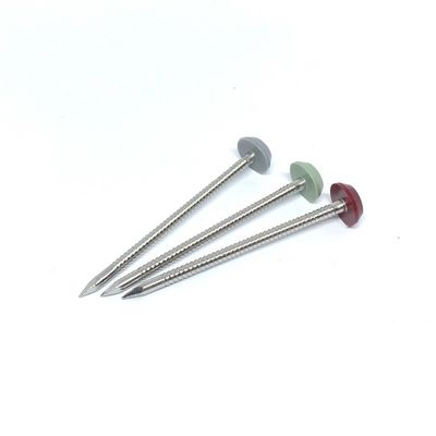 Rustproof Stainless Steel A4 Plastic Head Nails