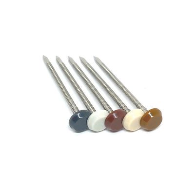 50MM 65MM Nylon PA6 Plastic Headed Nails For Profile