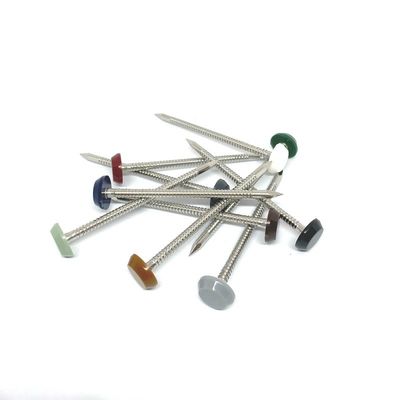 Anti UV Nylon PA6 Head A4 Stainless Steel Pins