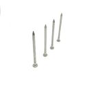 Round Flat Head Shark Point 316 Grade Stainless Steel Nails For Fixing