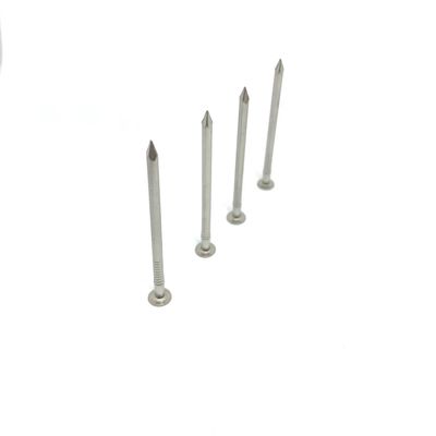 Round Flat Head Shark Point 316 Grade Stainless Steel Nails For Fixing