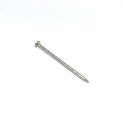 Round Flat Head Shark Point 316 Grade Stainless Steel Nails For Fixing