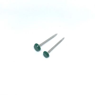 Shark Point A4 Material Plastic Head Nails Corrosion Resistant