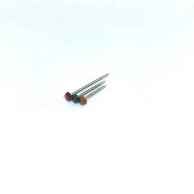 Nylon PA6 Stainless Steel 304L Plastic Head Pins Polished