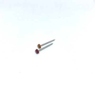 Nylon PA6 Annular Ring Plastic Headed Pins Stainless Steel 304L