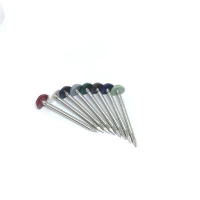 Anti UV SUS316 Stainless Steel Cladding Nails Corrosion Resistant