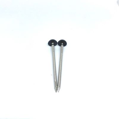 Stainless Steel Ringed Plastic Head Nails For Outside Construction