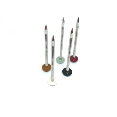 Nylon PA6 Stainless Steel 304L Plastic Head Pins Polished