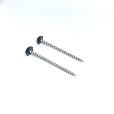 65mm Length Polished Plastic Headed Nails With Shark Point