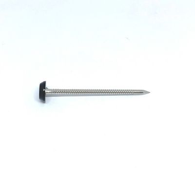 Stainless Steel Ringed Plastic Head Nails For Outside Construction