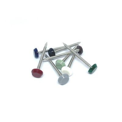 Nylon PA6 Stainless Steel 304L Plastic Head Pins Polished