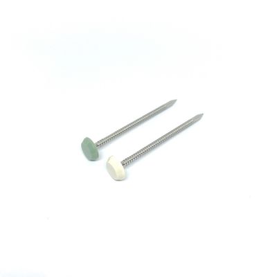 Stainless Steel Maintenance Free Plastic Headed Nails Nylon PA6 50MM Length