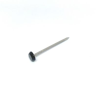 65MM Length Nylon Plastic Head Nails With Ringed Shank