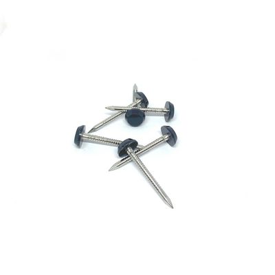 Grey SUS316 Plastic Head Nails With Annular Ring Shank Shark Point