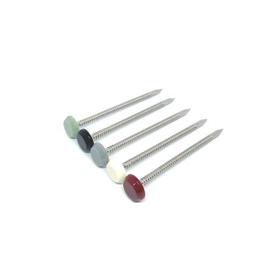 65MM Length Nylon Plastic Head Nails With Ringed Shank