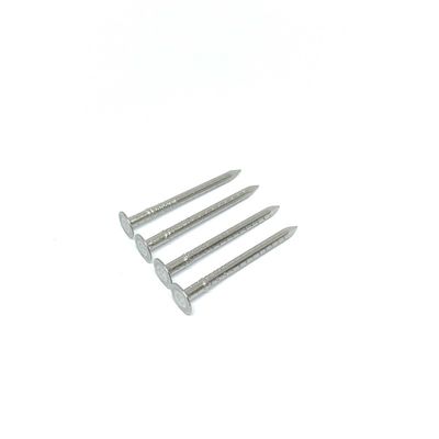 A4 Stainless Steel Clout Head Hollow Shank Big Head Nails Corrosion Resistant