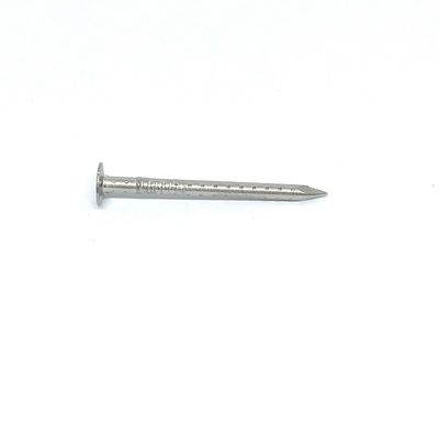 A4 Stainless Steel Clout Head Hollow Shank Big Head Nails Corrosion Resistant