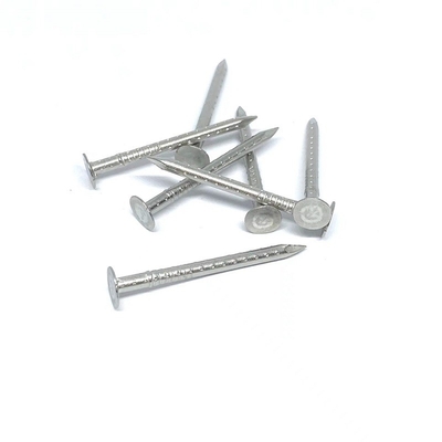 Clout Head 4 Hollow Shank Stainless Steel Nails Anti Corrosion