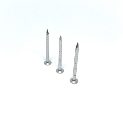 Clout Head 4 Hollow Shank Stainless Steel Nails Anti Corrosion