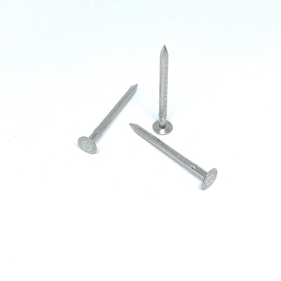 Clout Head 4 Hollow Shank Stainless Steel Nails Anti Corrosion