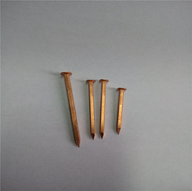 Copper boat nails...rose head 3 x1/8 "  square shank.   40 cents per nail 