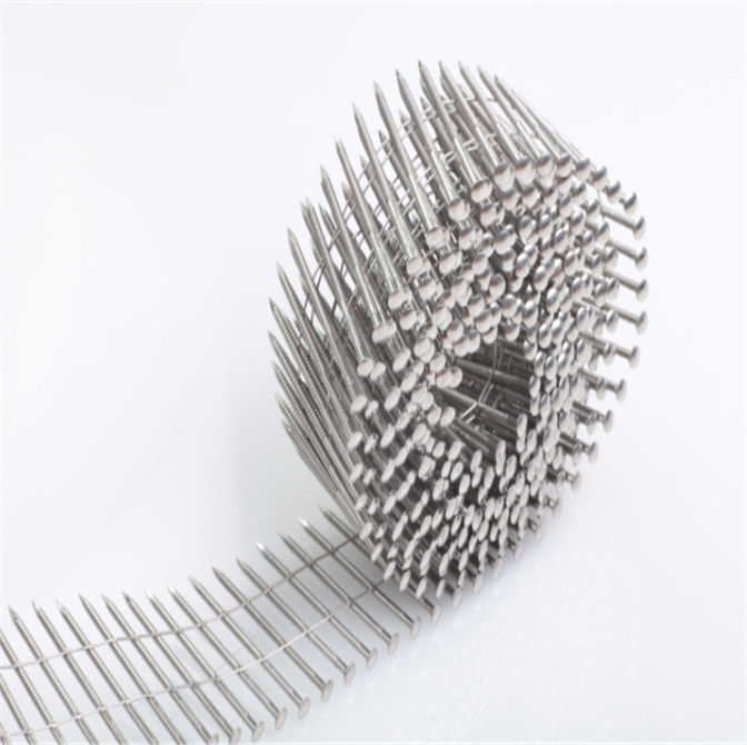 50mm Stainless Steel Coil Nails 15 / 16 Degree Screw Shank Wire Collated Nails