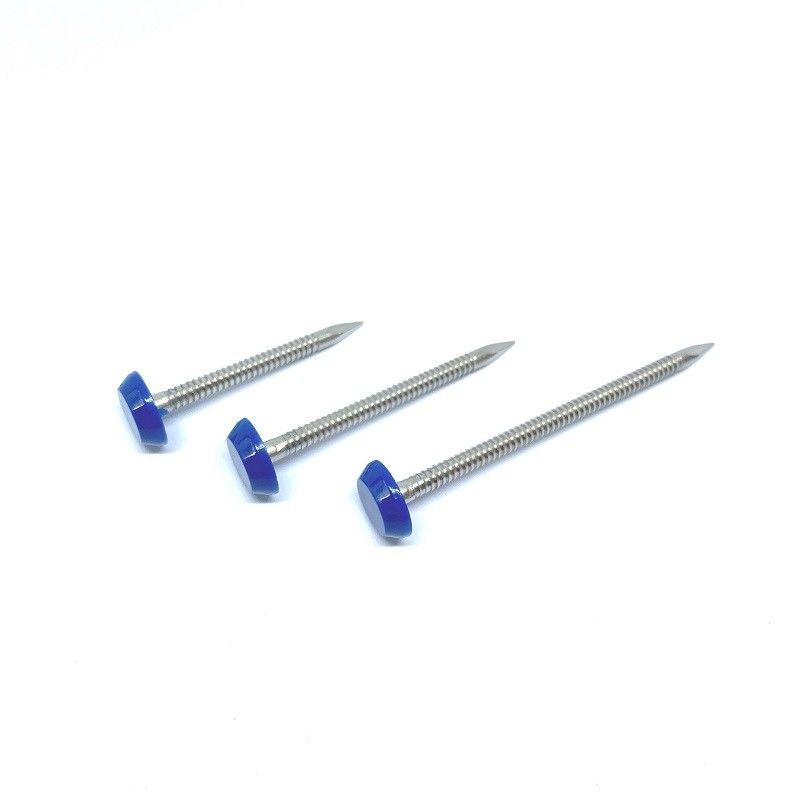 40mm SUS316 Ring Shank Plastic Cap Nails For Fixing Fascia And Soffit