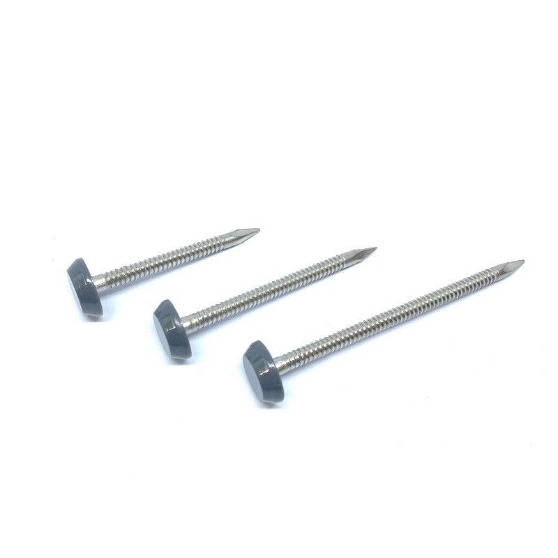 Corrosion Resistant Stainless Steel Plastic Top Nails With 12mm Head For UPVC Plates