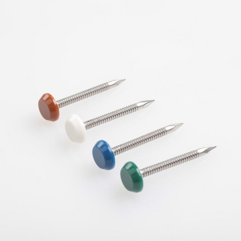 A2 / A4 Polymer Headed Pins And Stainless Steel Nails With Colorfull Head
