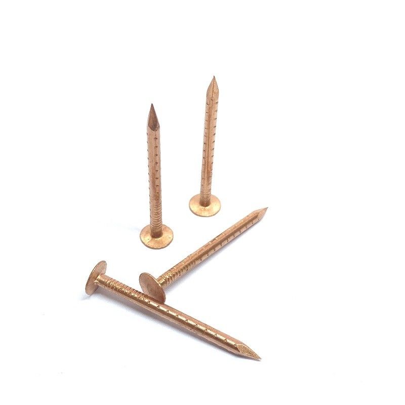 0 120 Big Flat Head Roofing Copper Clout Nails Jagged Shank 3 0 X 40mm