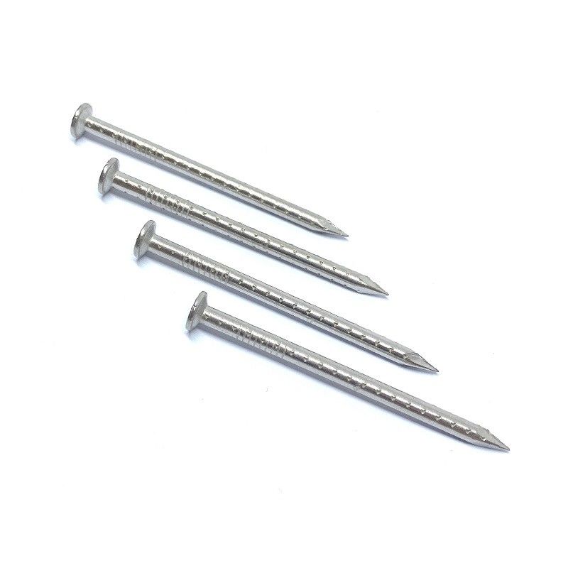 SUS316 Fibreboard Hollow Shank Nails / Wood Nails 30X2.8MM CE Passed