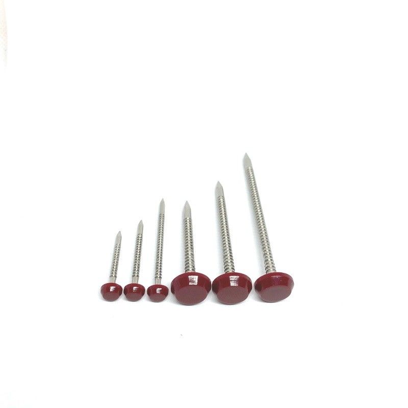 Corrosion Resistant SS304L Plastic Cap Roofing Nails