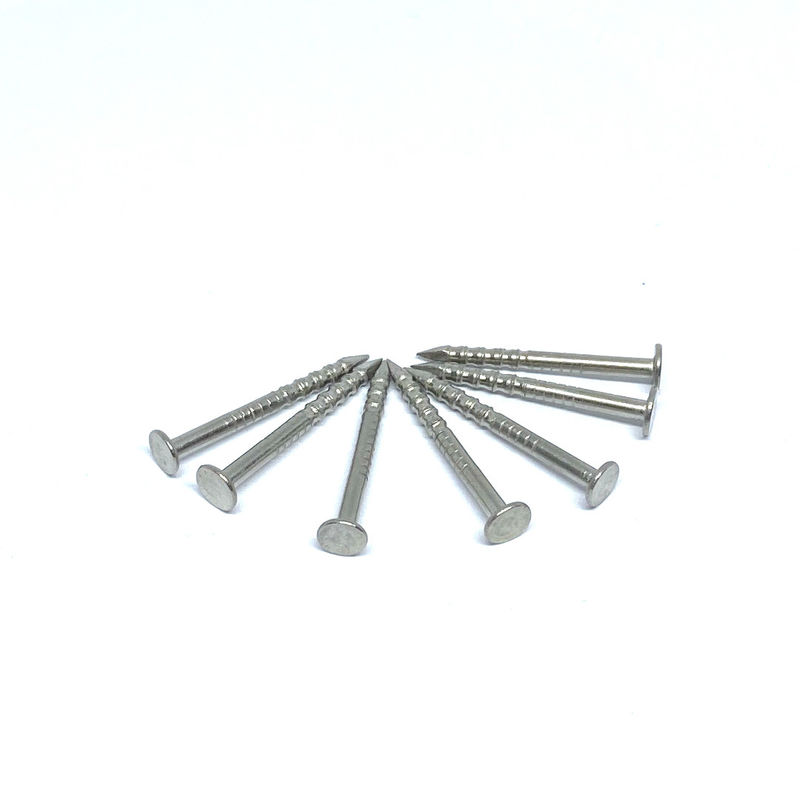 1.6X19MM Ring Shank 316 stainless steel flat head nails